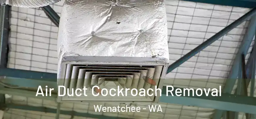  Air Duct Cockroach Removal Wenatchee - WA