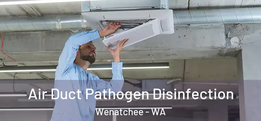  Air Duct Pathogen Disinfection Wenatchee - WA