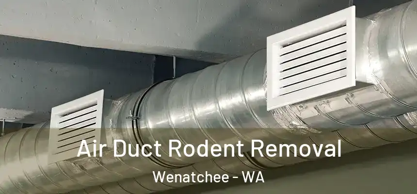 Air Duct Rodent Removal Wenatchee - WA