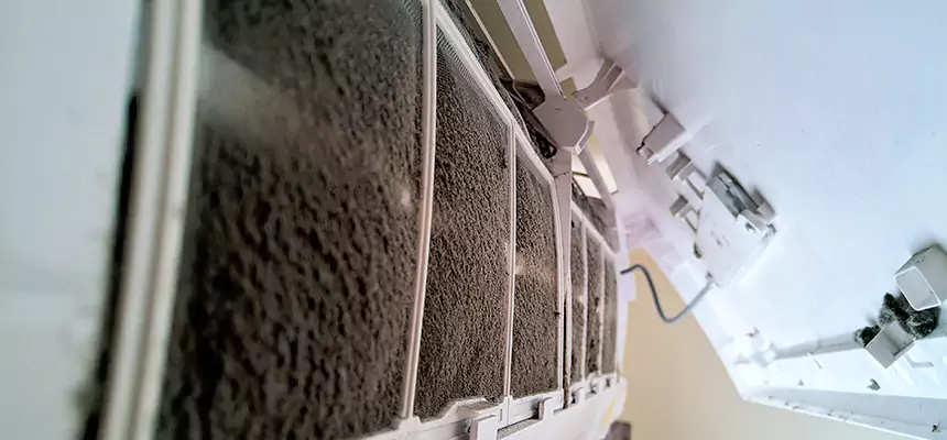 Preventive Air Duct Bacteria Removal in Wenatchee