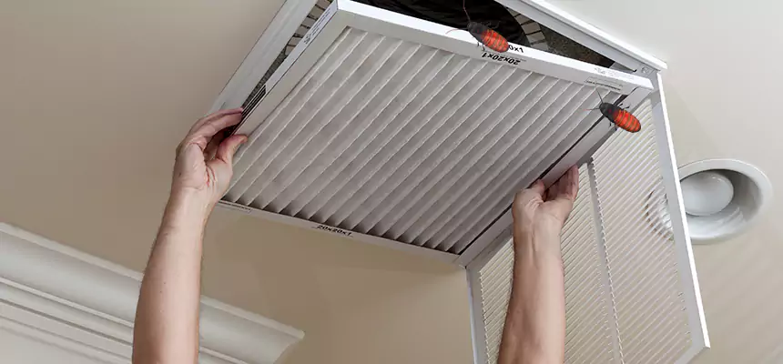 Preventive Cockroach-Proofing for Ducts in Wenatchee