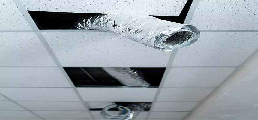 Our Air Duct Pet Hair Removal Services in Wenatchee, WA