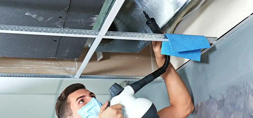 Our Air Duct Rodent Removal Services in Wenatchee, WA