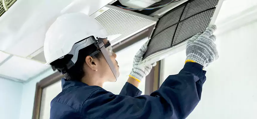 Our Mold & Mildew Removal from Air Ducts Services in Wenatchee, WA