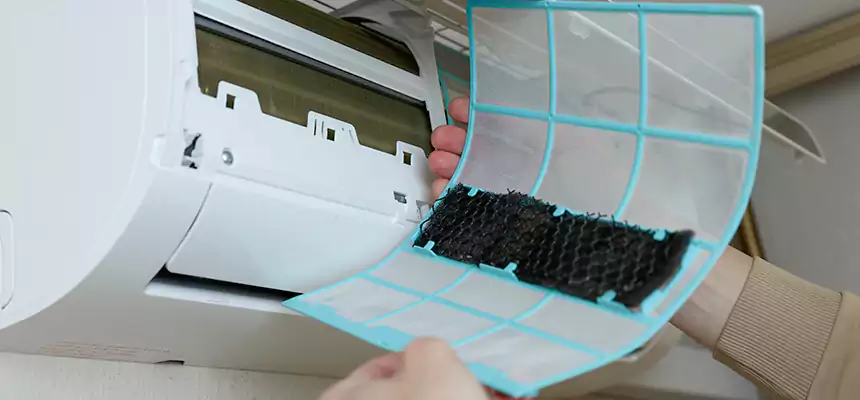 Gentle Ductwork Odor-Control Pet Dander Duct Cleaning in Wenatchee, WA