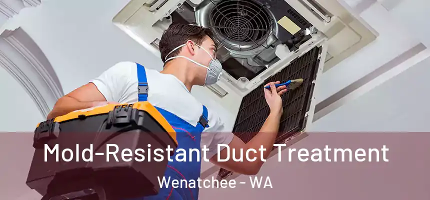  Mold-Resistant Duct Treatment Wenatchee - WA