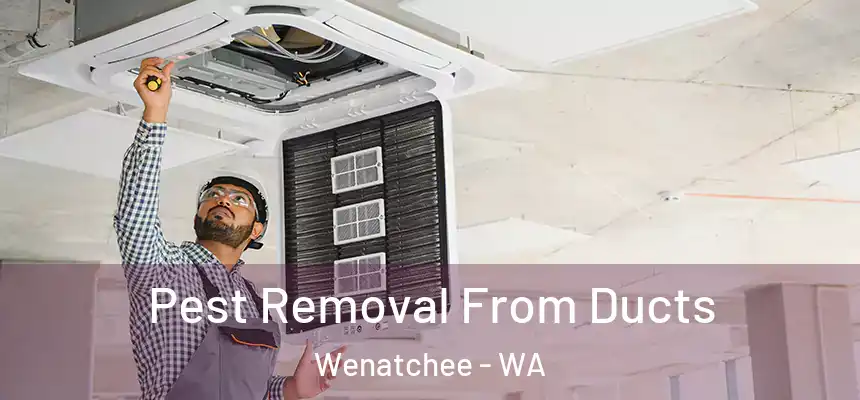 Pest Removal From Ducts Wenatchee - WA