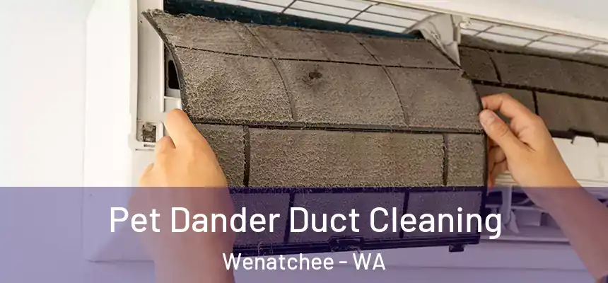  Pet Dander Duct Cleaning Wenatchee - WA