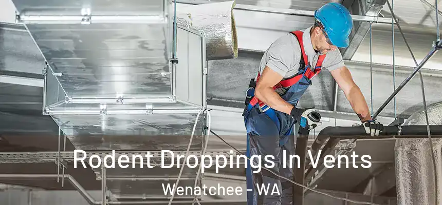  Rodent Droppings In Vents Wenatchee - WA