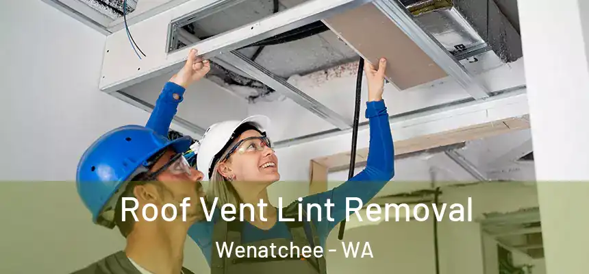  Roof Vent Lint Removal Wenatchee - WA