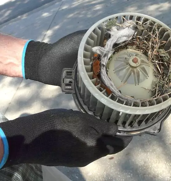 About Air Duct Mice Removal in Wenatchee, WA