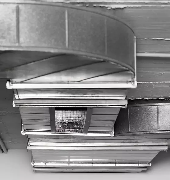 Professional Air Duct Pet Hair Removal in Wenatchee, WA