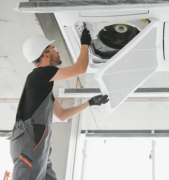 About Air Duct Rodent Removal in Wenatchee, WA