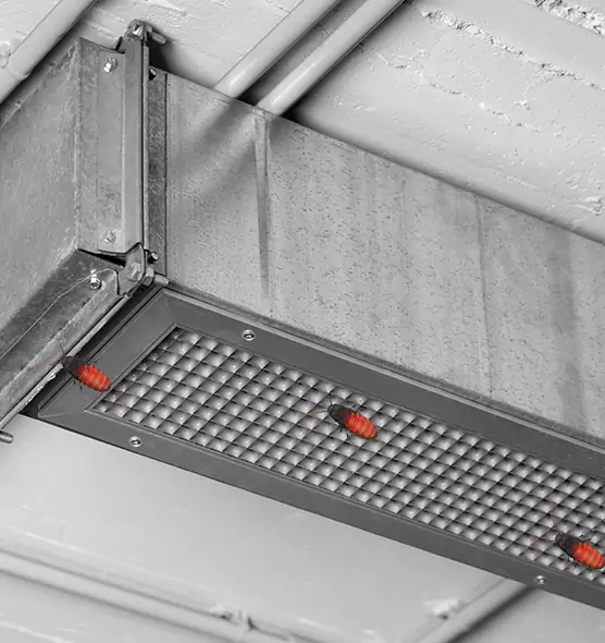 Affordable Insect Removal from Air Ducts in Wenatchee, WA