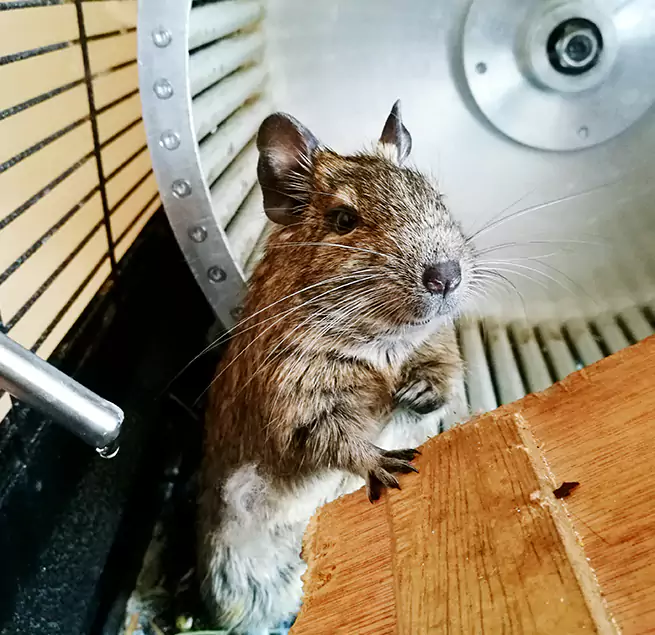 Why Homeowners & Businesses Trust Us Wenatchee, WA