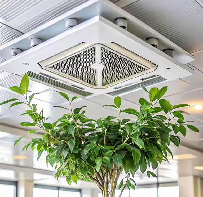 Why Homeowners & Businesses Trust Us in Wenatchee, WA?